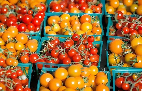 村村通冷鏈 構(gòu)建土特產(chǎn)產(chǎn)銷(xiāo)一體化生態(tài)集群，激活產(chǎn)業(yè)鏈新動(dòng)能