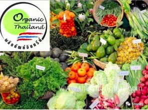 阿披拉迪 推動(dòng)有機(jī)農(nóng)產(chǎn)品走出國(guó)門(mén)，讓泰國(guó)土特產(chǎn)香飄世界
