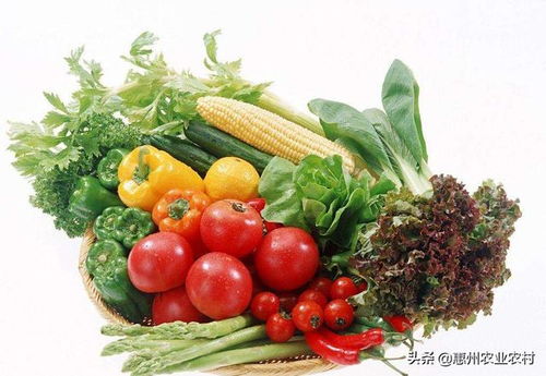 嶺南珍饈進(jìn)京來(lái) 廣東名特優(yōu)新農(nóng)產(chǎn)品閃耀京城