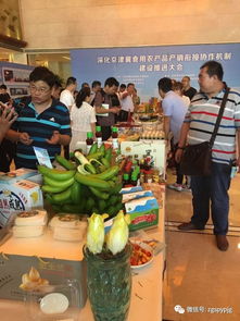 為保菜籃子，北京將建農產品“場廠掛鉤”機制