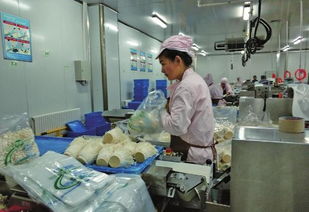 從星辰到餐桌 如何打造航天級品質的農產品