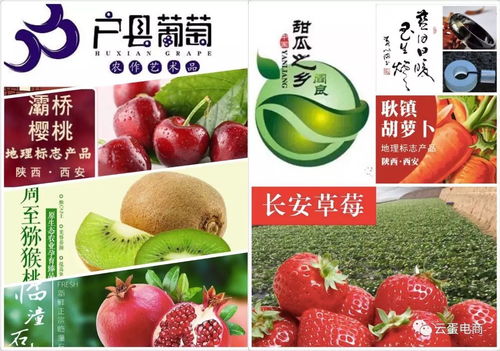 農產品上行“三步走” 打通從田間到餐桌的數字化通路